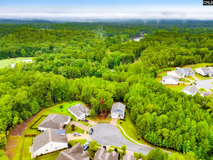 794 Carolina Aster Drive, Blythewood, SC 29016 - Image #2