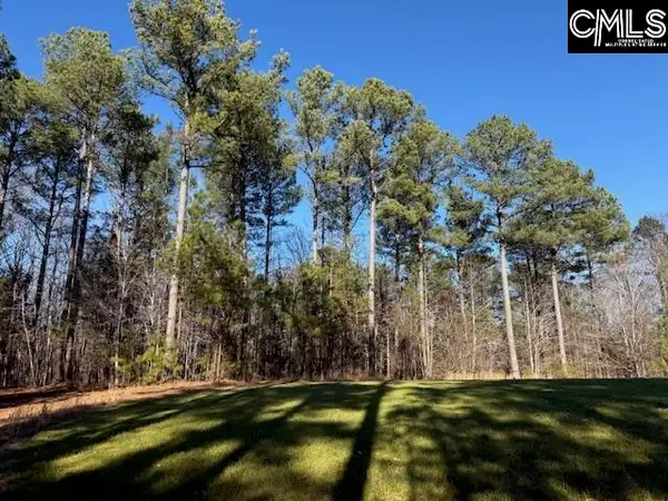 1087 Bobby Faucette Road, Jonesville, SC 29353