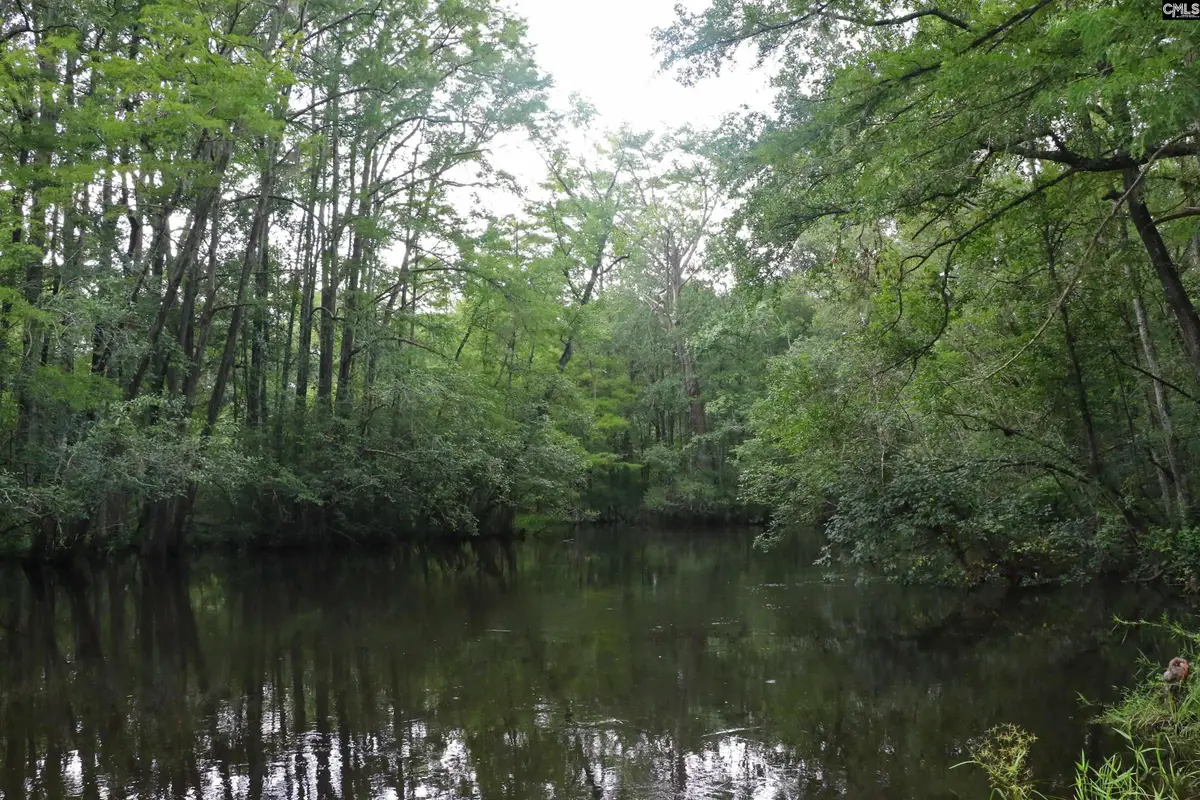 TBD Guinyard Boulevard, Springfield, SC 29146 - Image #1