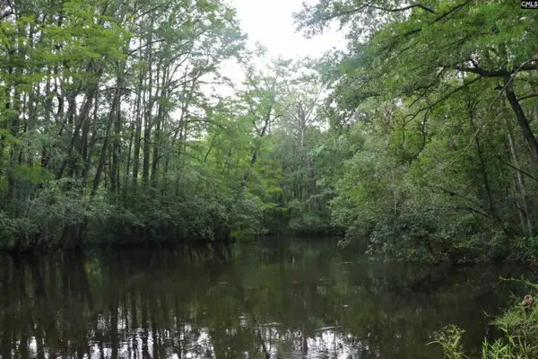 TBD Guinyard Boulevard, Springfield, SC 29146