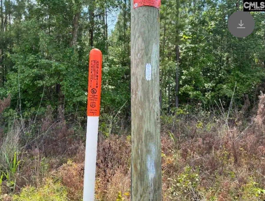 Lot L Old Edgefield Road, Kirksey, SC 29138 - Image #2