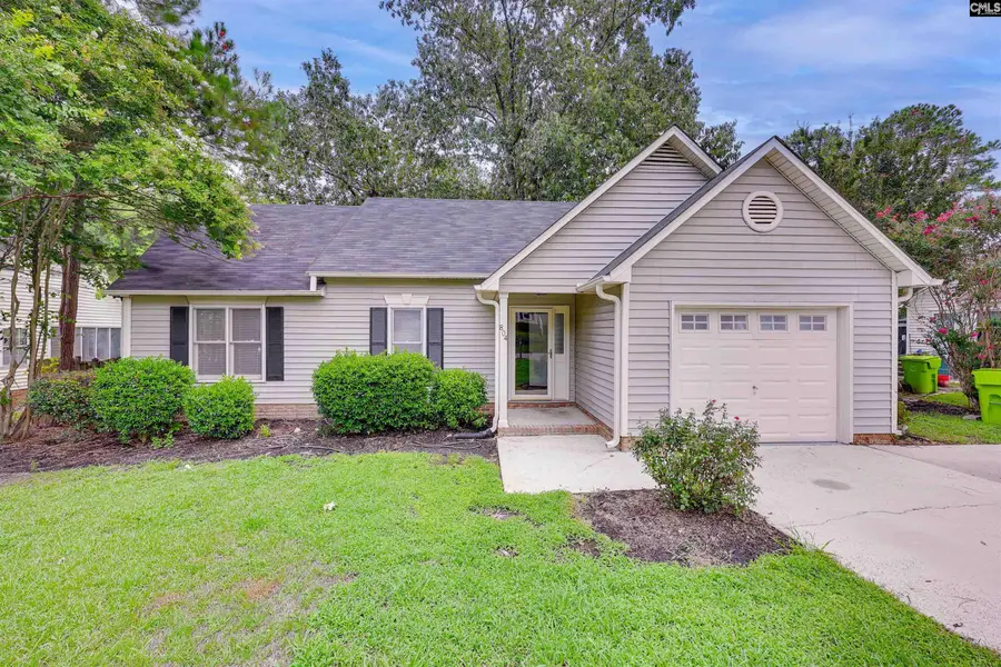804 Riverwalk Way, Irmo, SC 29063 - Image #3
