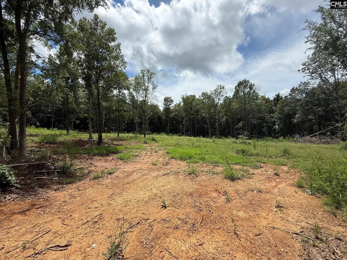 0 Hollywood Road, Batesburg, SC 29006 - Image #1