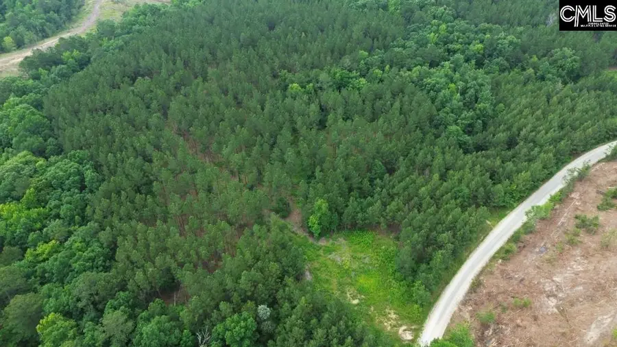 Turkey Creek Road, Winnsboro, SC 29180 - Image #3