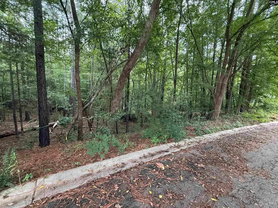 TBD Timberlane Drive, Winnsboro, SC 29180 - Image #3