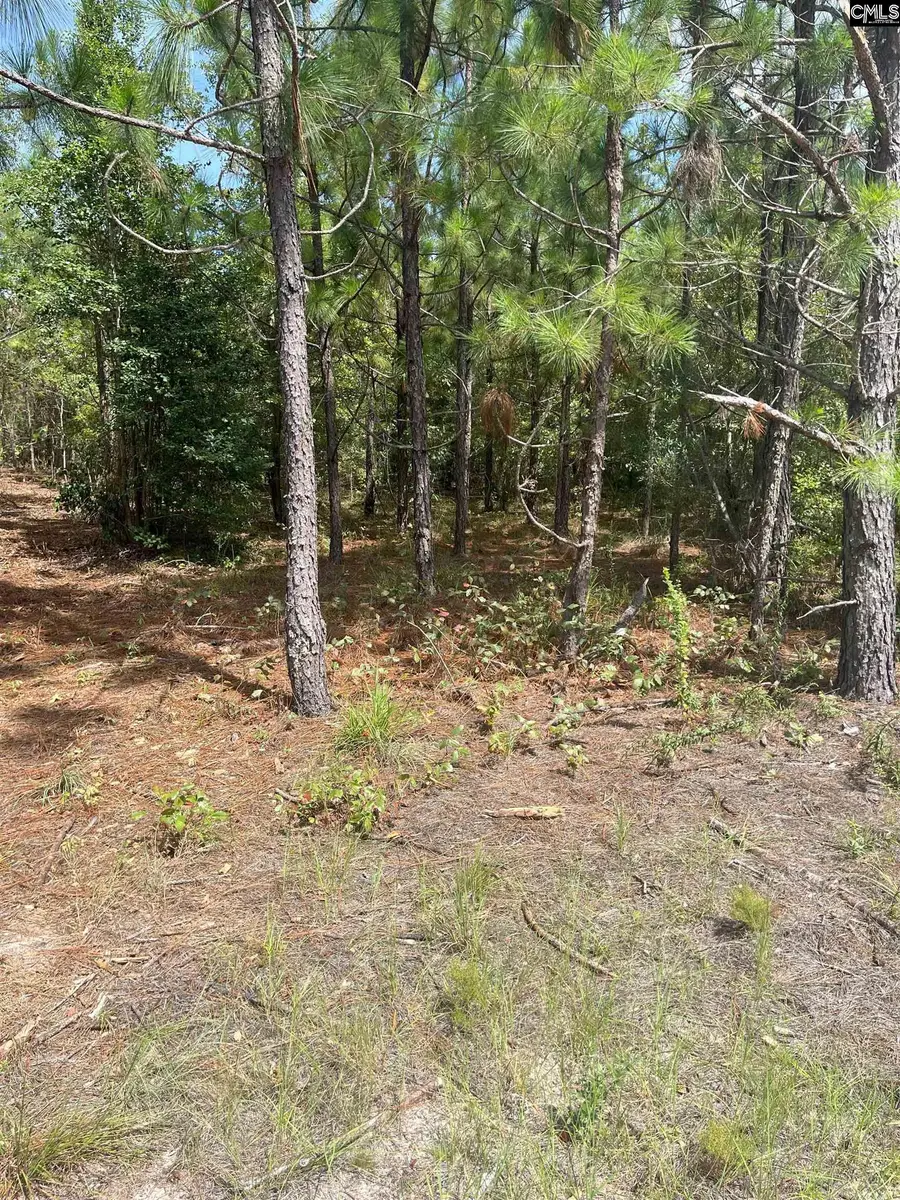 PPF 6 Payne Pond Road #PPF 6, Westville, SC 29175 - Image #3