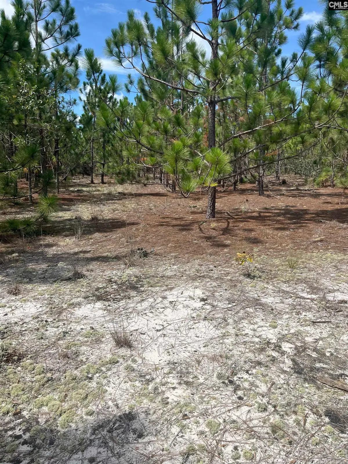 PPF 9 Payne Pond Road #PPF 9, Westville, SC 29175 - Image #1