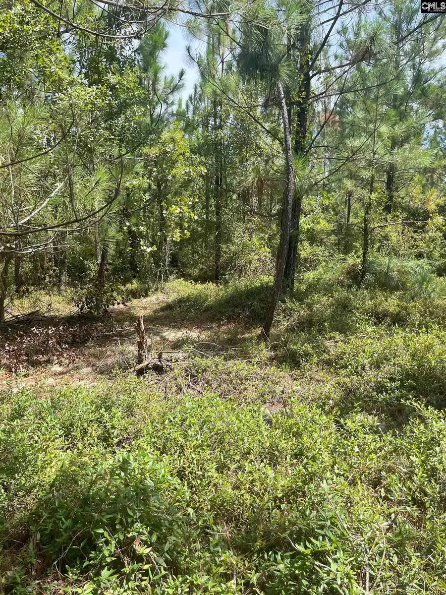 PPF 9 Payne Pond Road #PPF 9, Westville, SC 29175 - Image #2