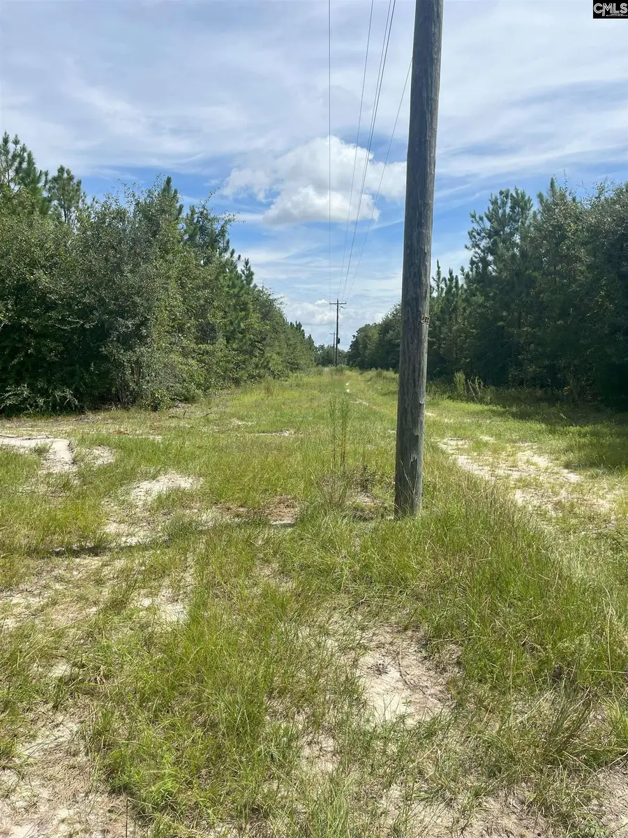 PPF 9 Payne Pond Road #PPF 9, Westville, SC 29175 - Image #3