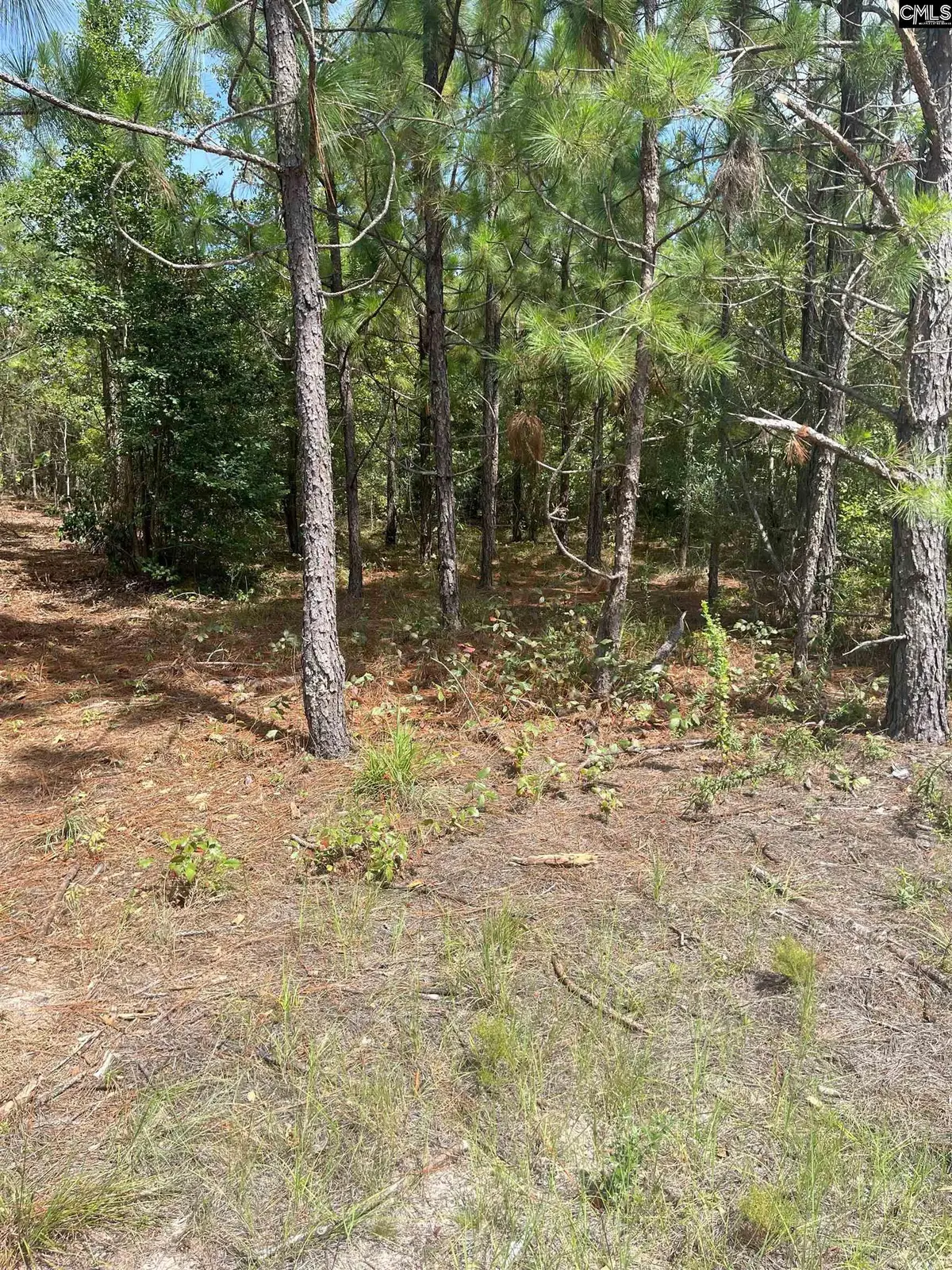 PPF 5 Payne Pond Road #PPF 5, Westville, SC 29175 - Image #1