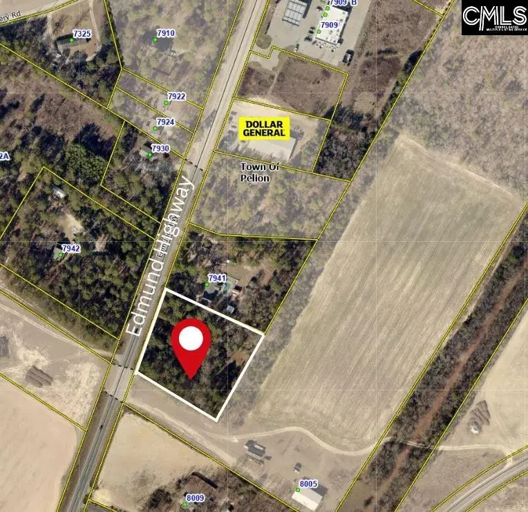 Edmund Highway, Pelion, SC 29123 - Image #2