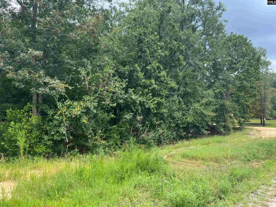 0 Cliff Road, Pelion, SC 29123 - Image #2