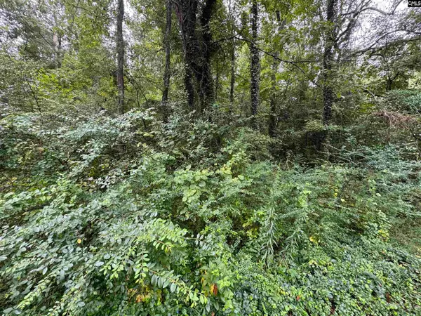 1314 Red Ridge Terrace, Columbia, SC 29203