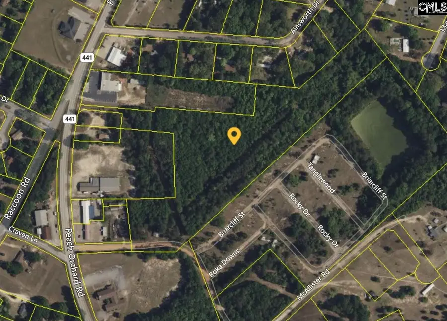 2595 Peach Orchard Road, Dalzell, SC 29040 - Image #2