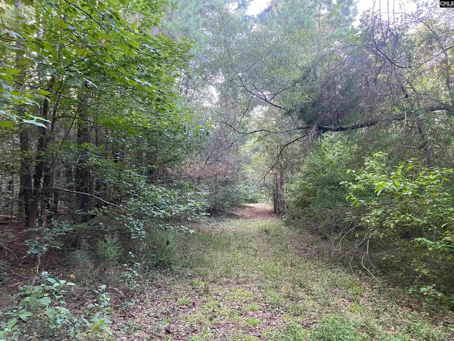 371 Holy Trinity Church, Little Mountain, SC 29075 - Image #3