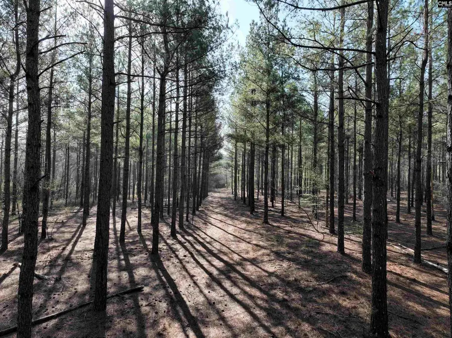 0000 Salley Road, Salley, SC 29137 - Image #3