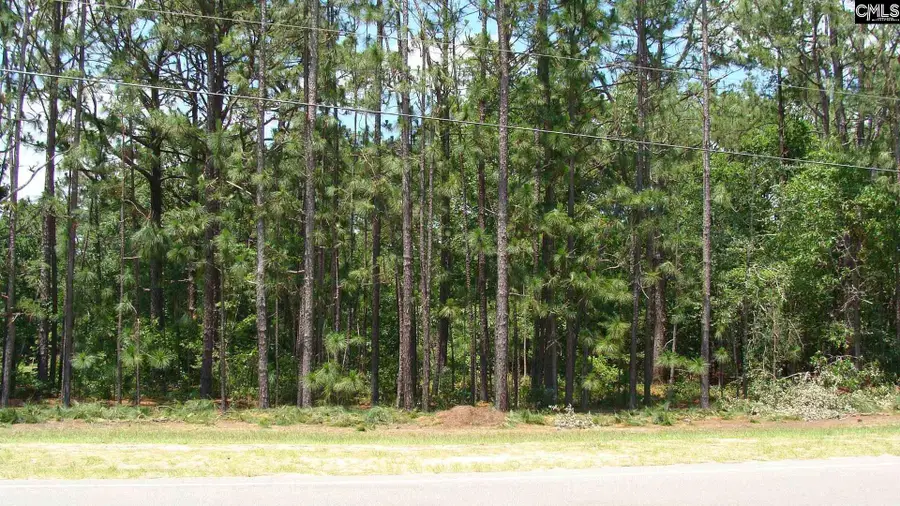 822 Meadowfield Road, Gaston, SC 29053 - Image #2