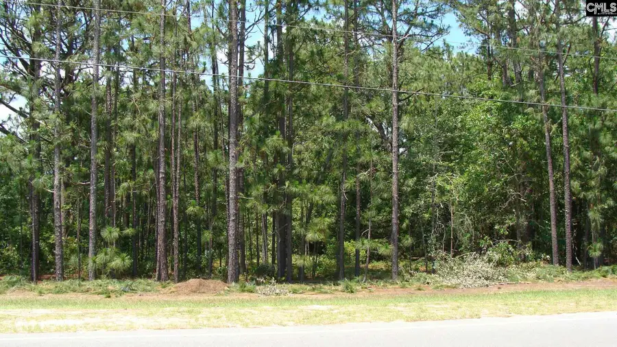 822 Meadowfield Road, Gaston, SC 29053 - Image #3