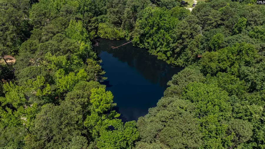 306 Andrew Corley Road, Lexington, SC 29072 - Image #2
