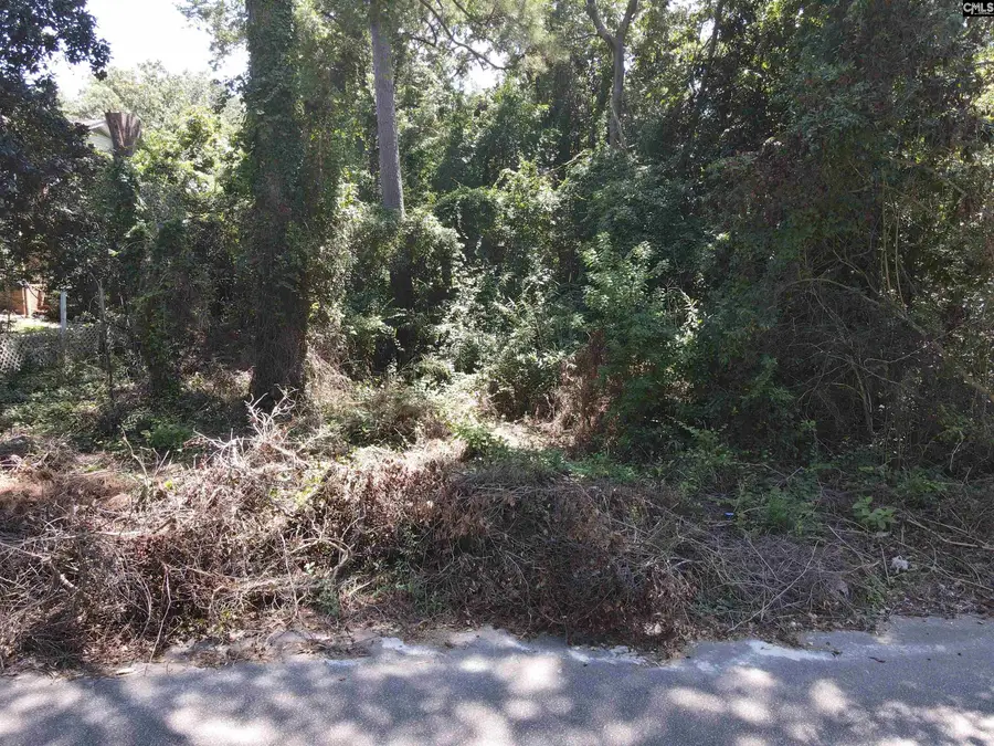 S S Castleton Lane, Columbia, SC 29223 - Image #3