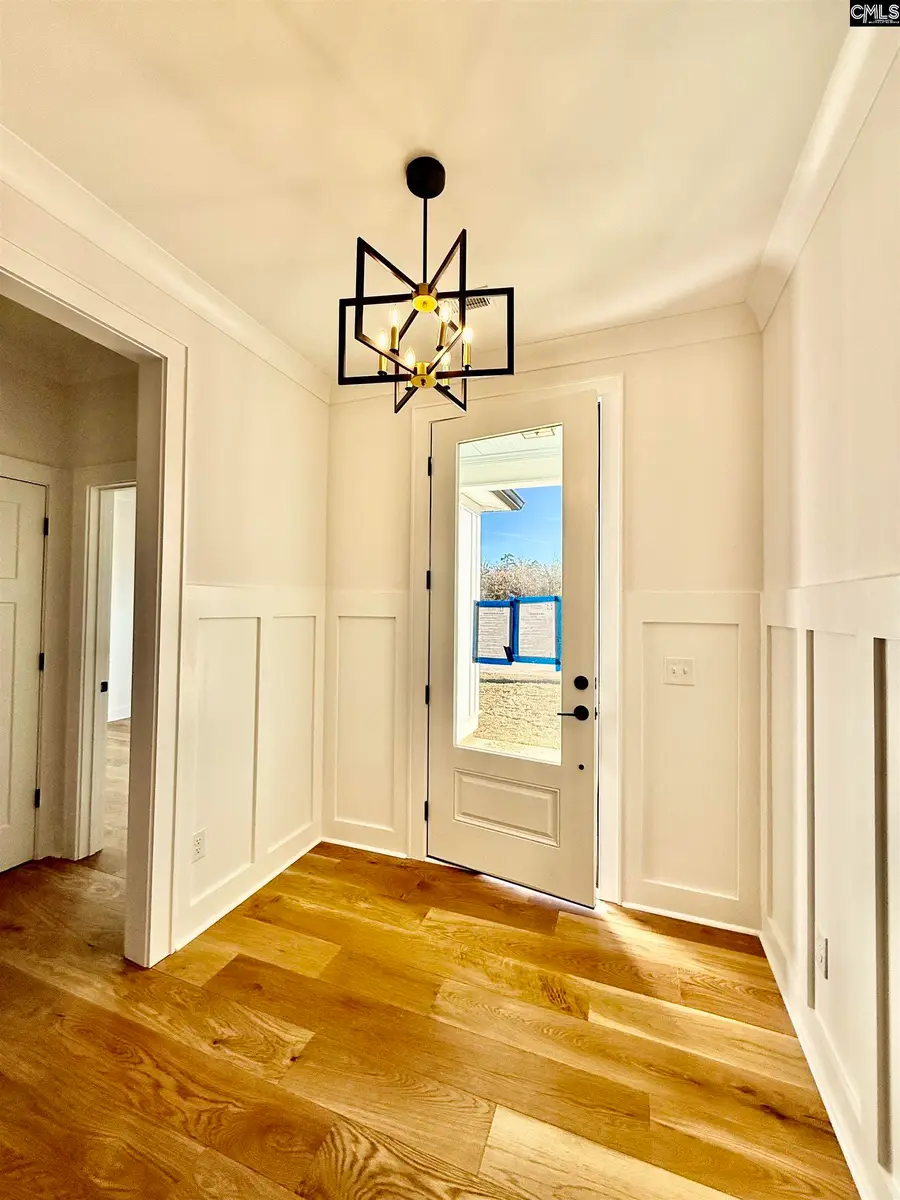 854 Elms Spinney Lane, Chapin, SC 29036 - Image #2