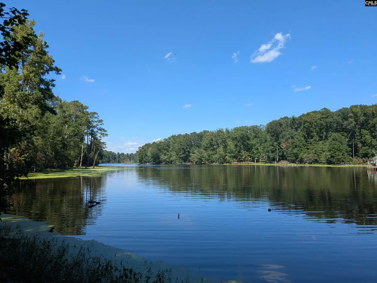 0 Taylor Road, Batesburg, SC 29006 - Image #1