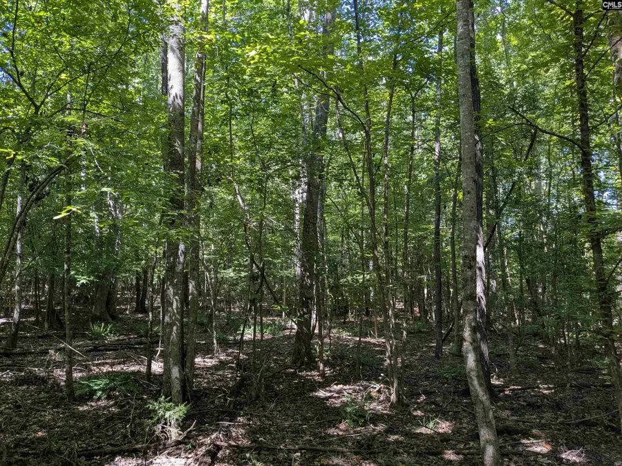 0 Taylor Road, Batesburg, SC 29006 - Image #2