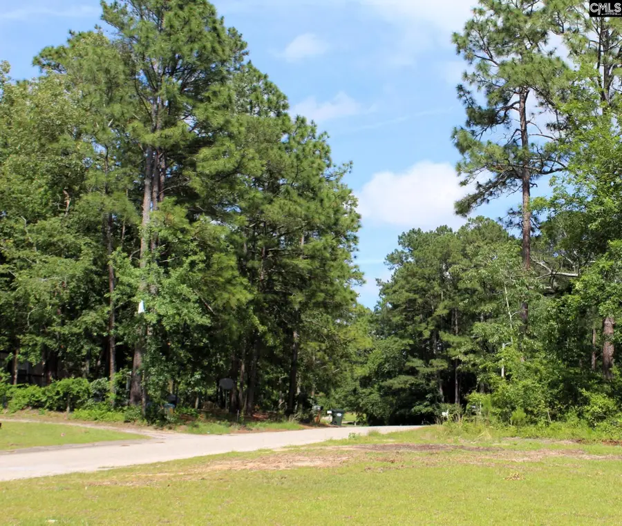 219 Woodland Drive, Swansea, SC 29160 - Image #2