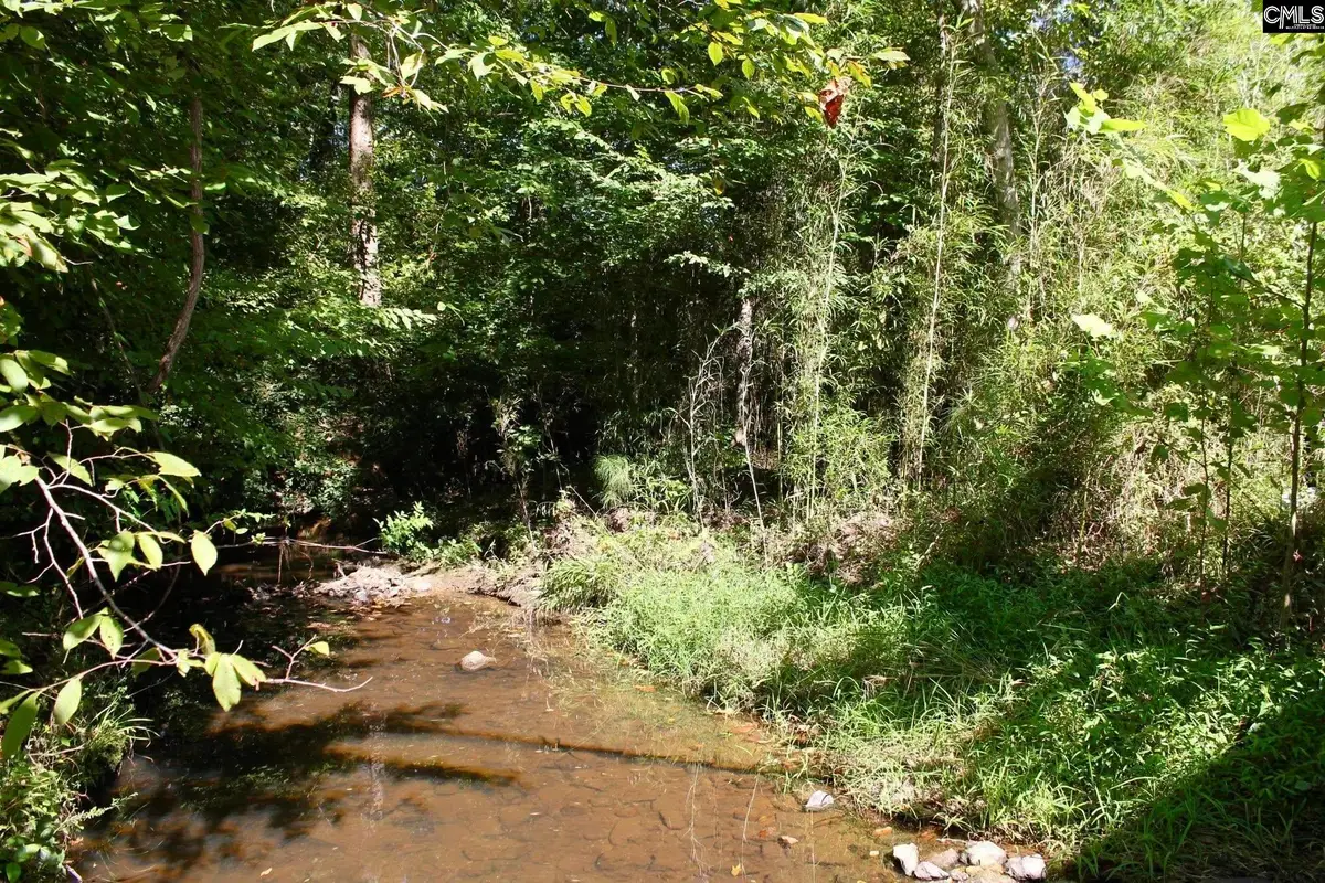 Pine Grove Road, Blythewood, SC 29016 - Image #1