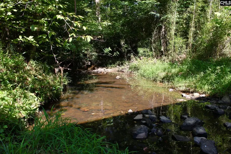 Pine Grove Road, Blythewood, SC 29016 - Image #2