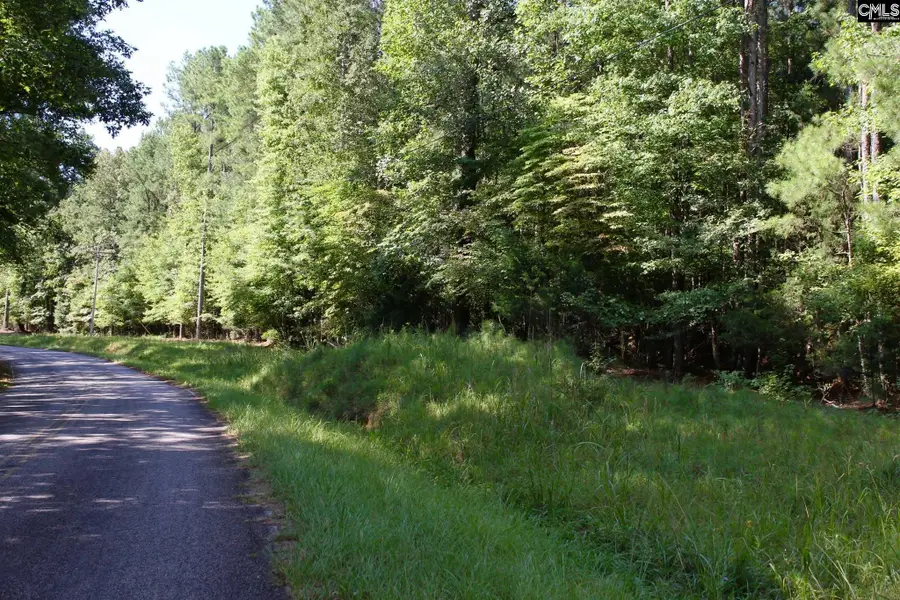 Pine Grove Road, Blythewood, SC 29016 - Image #3