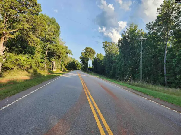 13294 State Hyw 215 South Highway, Jenkinsville, SC 29065