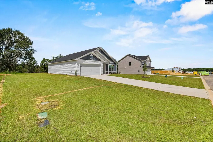 143 Calm Citadel Drive, Pelion, SC 29123 - Image #3