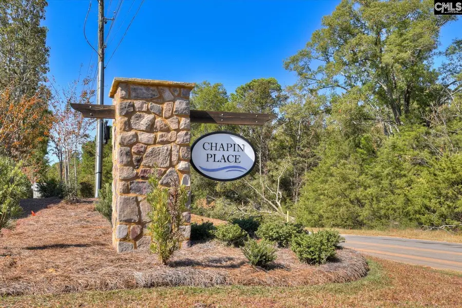 342 Chapin Place Way, Chapin, SC 29036 - Image #3