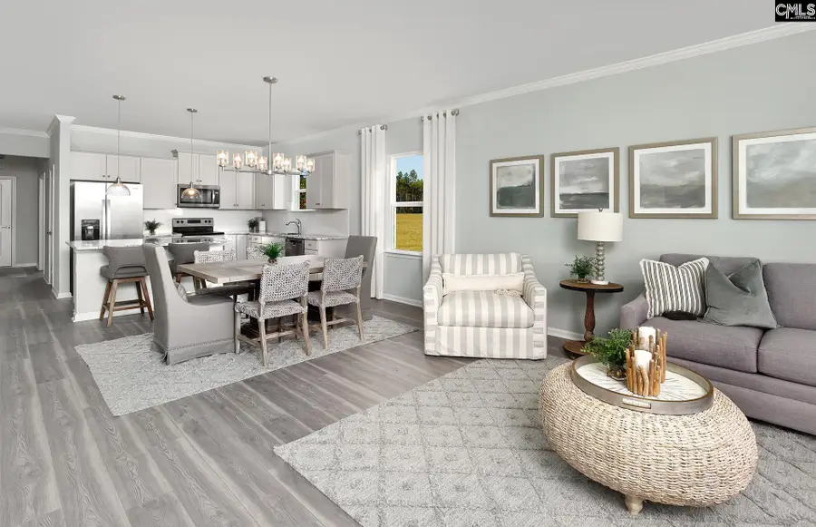 145 Monroe Preserve Drive, Chapin, SC 29036 - Image #2