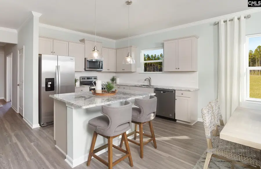 145 Monroe Preserve Drive, Chapin, SC 29036 - Image #3