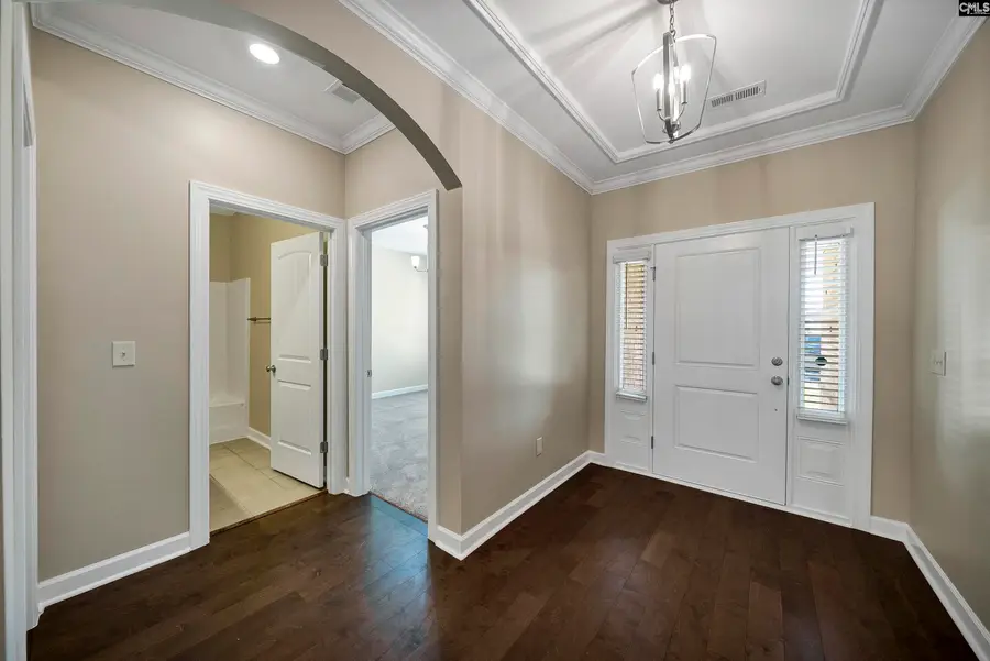 3006 Chilmark Drive, Chapin, SC 29036 - Image #3