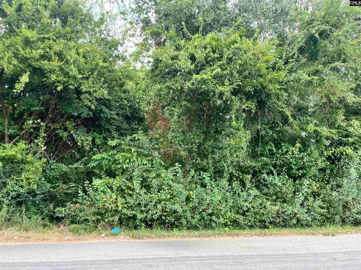 129 Maple Streets, Winnsboro, SC 29180 - Image #1