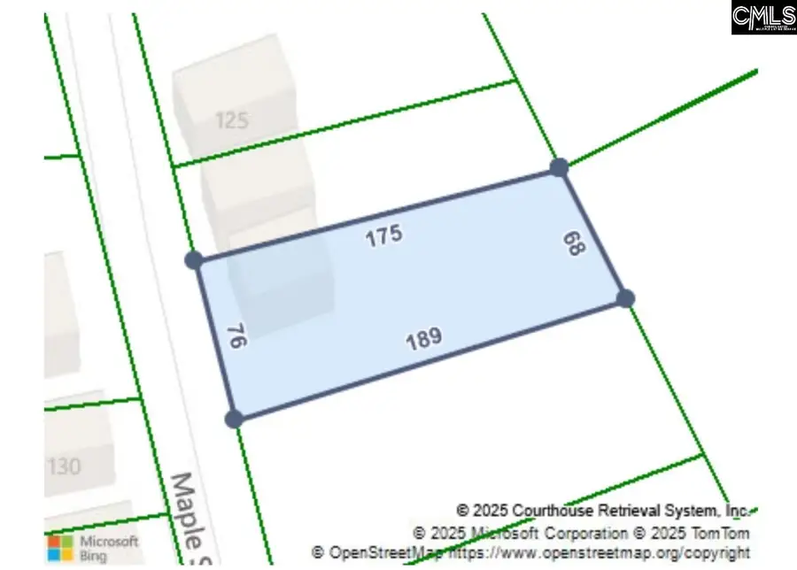 129 Maple Streets, Winnsboro, SC 29180 - Image #3