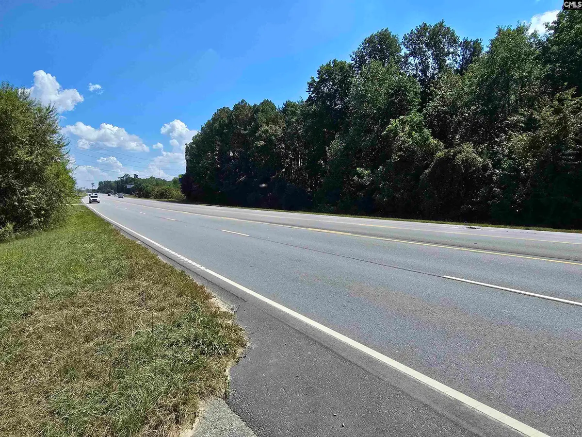 Augusta Highway, Lexington, SC 29072 - #1