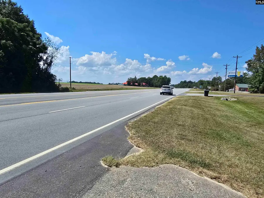 Augusta Highway, Lexington, SC 29072 - #2