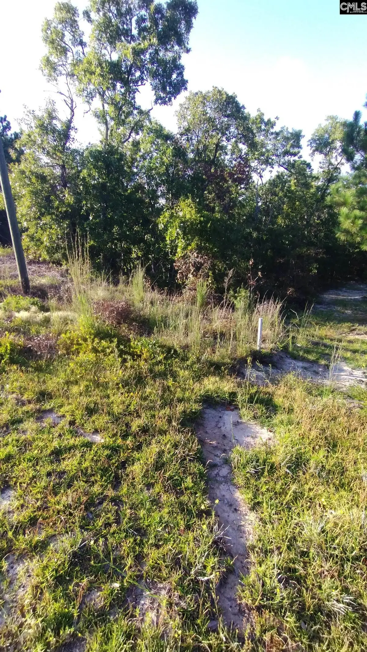 1972 Elgin Drive, Elgin, SC 29045 - Image #1