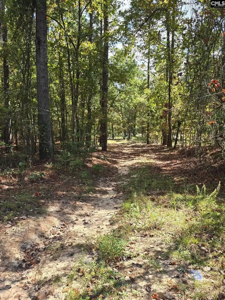 1646 Baughman Road, Columbia, SC 29045 - Image #2
