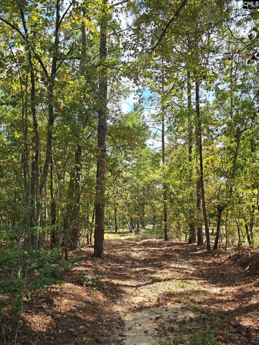 1646 Baughman Road, Columbia, SC 29045 - Image #3