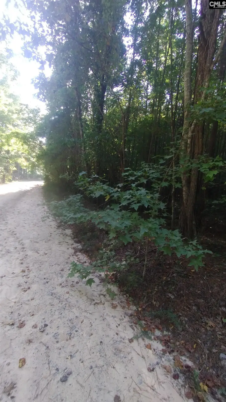 1718 Baughman Road, Lugoff, SC 29078 - Image #2