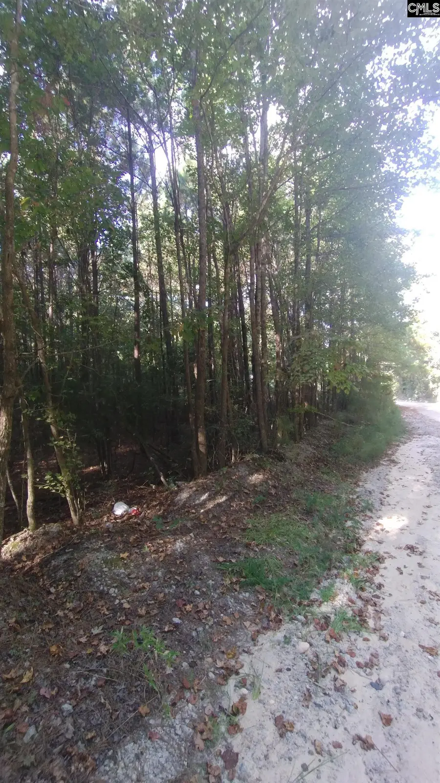 1718 Baughman Road, Lugoff, SC 29078 - Image #3