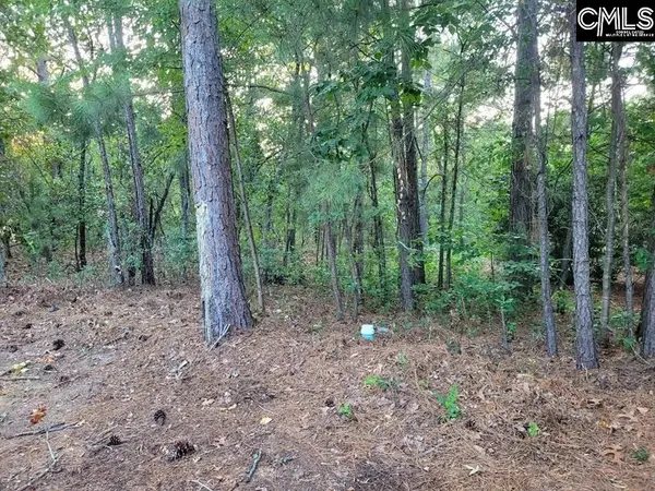 4 Lost Dog Court, Elgin, SC 29045