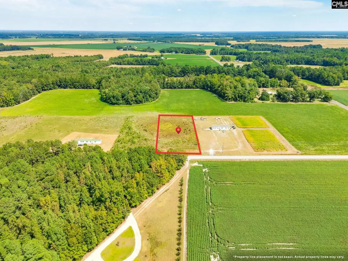 TBD Manville Saint Charles Road, Bishopville, SC 29010 - Image #1