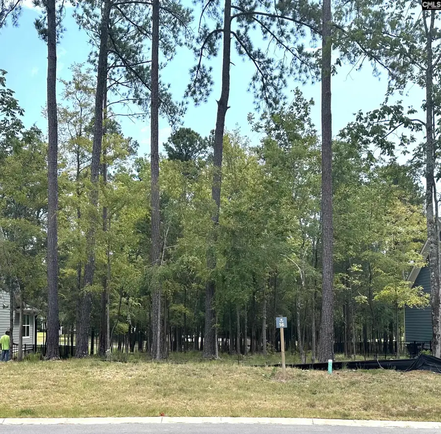 569 Misty Banks Drive, Chapin, SC 29036 - Image #2