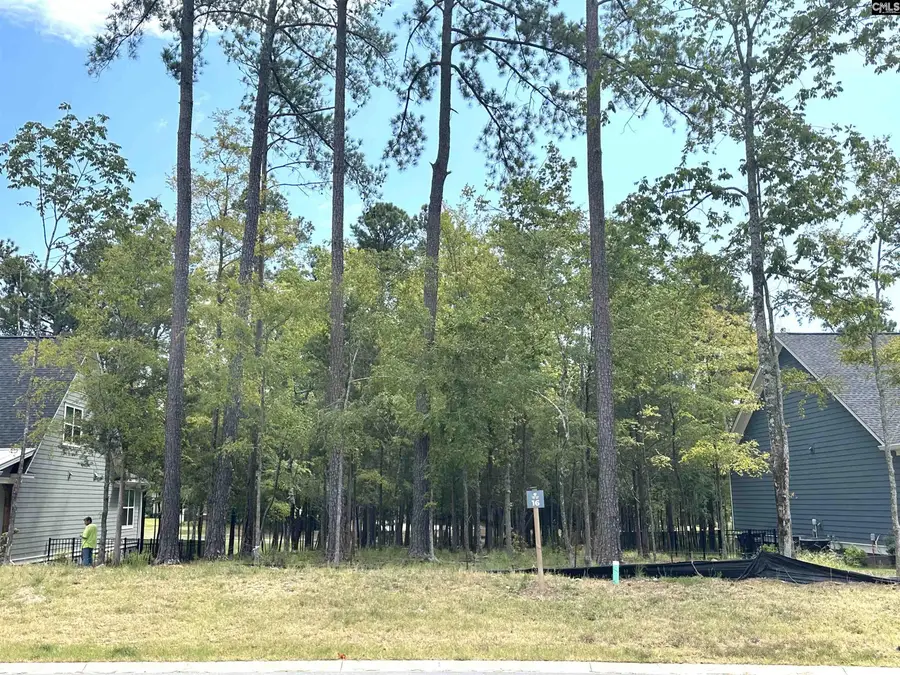 569 Misty Banks Drive, Chapin, SC 29036 - Image #3